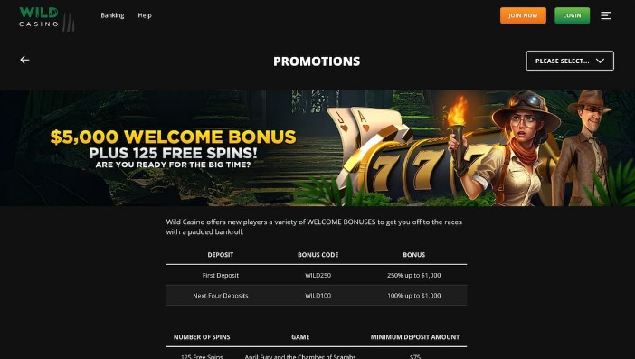 Casino bonus